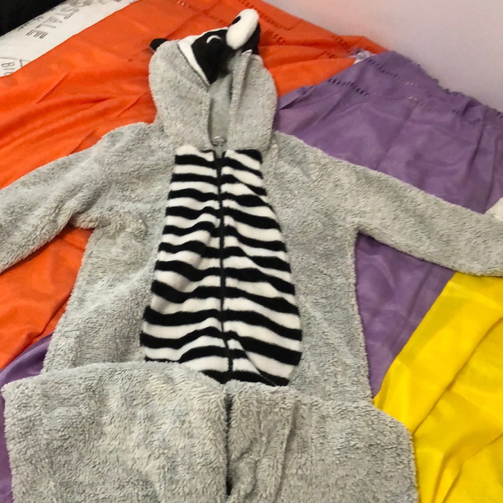Raccoon onesie